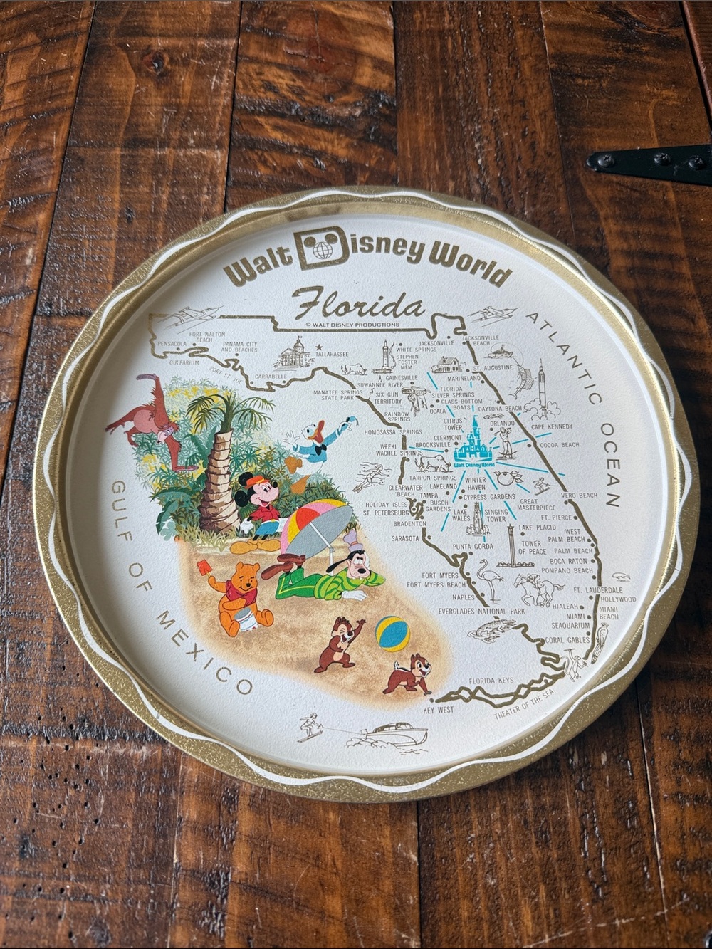 Vintage Walt Disney World Florida Tin Tray Platter Mickey Donald Pooh 11”